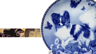 Dog & Cat Plate San-Lekven Design