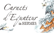 "Carnets d'Equateur" in HERMES, is at our stores now.
