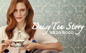 Wedgwood Collections: Daisy Tea Story