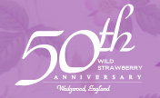 50th Anniversary of WILD STRAWBERRY by WEDGWOOD