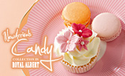 "The Candy Collection" in Royal Albert is now at our stores!